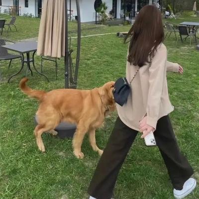 猎龙王